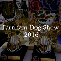 Farnham Dog Show 2016