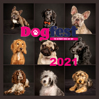 DogFest South 2021 - Knebworth House