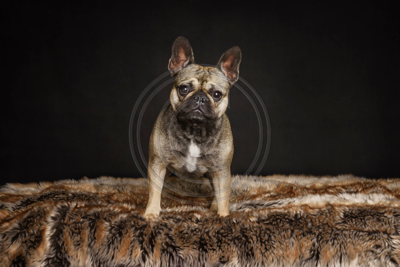 Coco 01