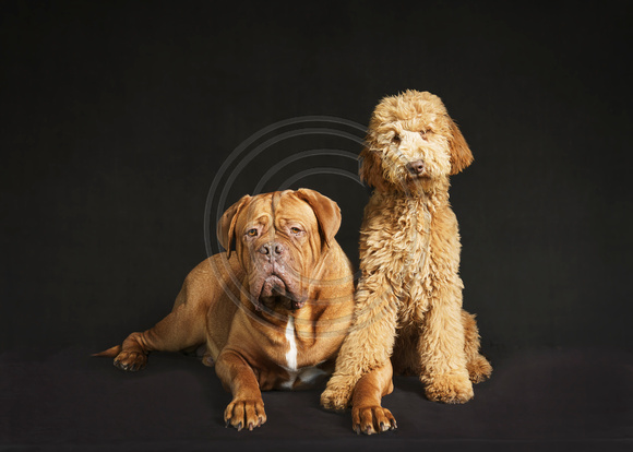 Ernie & Lily