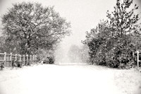 Snowy Lane 2SP