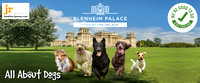 All About Dogs - Blenheim Palace 2021