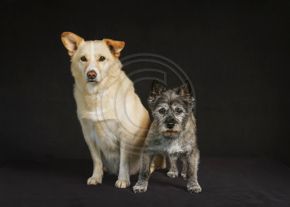 Bobby & Roxy