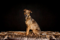 Odin 01