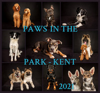 Paws In The Park - Kent 2021