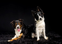 Bailey & Millie
